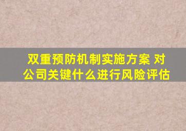 双重预防机制实施方案 对公司关键什么进行风险评估
